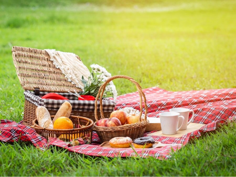 Пикник